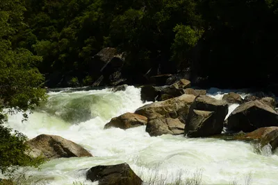 DSC_2253 (Large).JPG